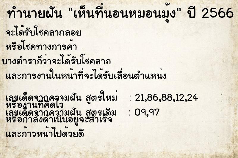 ทำนายฝัน เห็นที่นอนหมอนมุ้ง ทำนายฝัน เห็นที่นอนหมอนมุ้ง