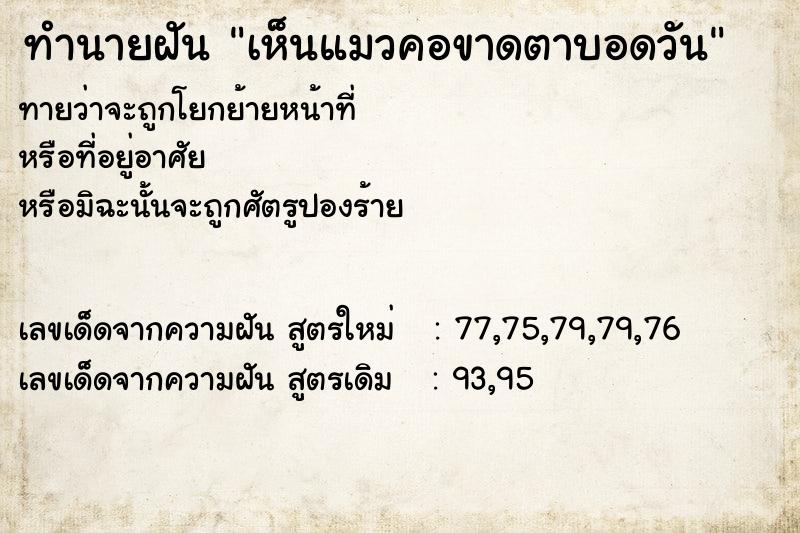 ทำนายฝันทำนายฝันเห็นแมวคอขาดตาบอดวัน
