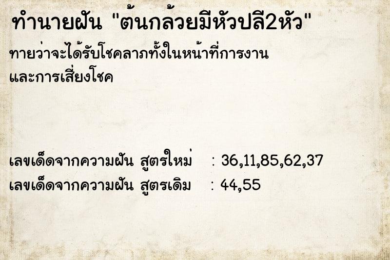 ทำนายฝันต้นกล้วยมีหัวปลี2หัว ทำนายฝันทำนายฝันต้นกล้วยมีหัวปลี2หัว