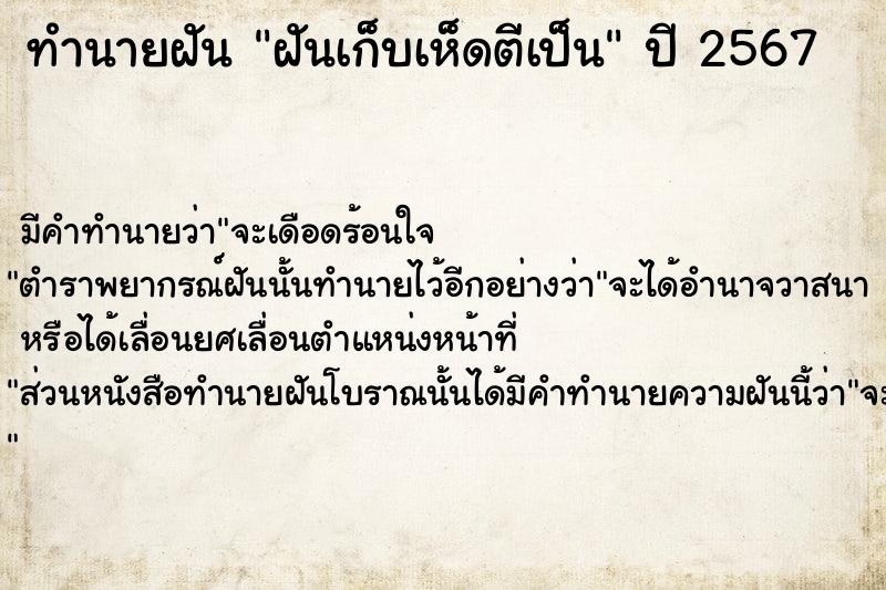 ทำนายฝัน ฝันเก็บเห็ดตีเป็น ทำนายฝัน ฝันเก็บเห็ดตีเป็น