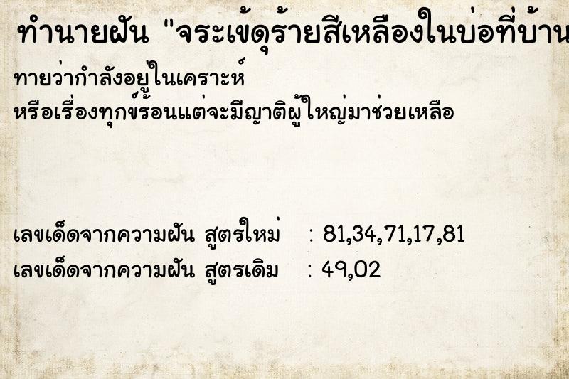 ทำนายฝันทำนายฝันจระเข้ดุร้ายสีเหลืองในบ่อที่บ้าน
