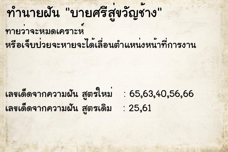 ทำนายฝันทำนายฝันบายศรีสู่ขวัญช้าง