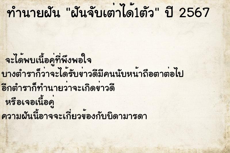 ทำนายฝันฝันจับเต่าได้1ตัว ทำนายฝันทำนายฝันฝันจับเต่าได้1ตัว
