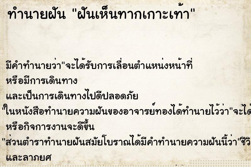 ทำนายฝันฝันเห็นทากเกาะเท้า ทำนายฝันทำนายฝันฝันเห็นทากเกาะเท้า
