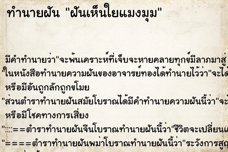 ทำนายฝัน ฝันเห็นใยแมงมุม ทำนายฝัน ฝันเห็นใยแมงมุม