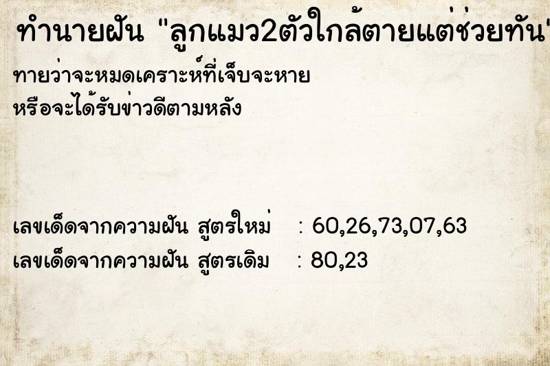 ทำนายฝันทำนายฝันลูกแมว2ตัวใกล้ตายแต่ช่วยทัน