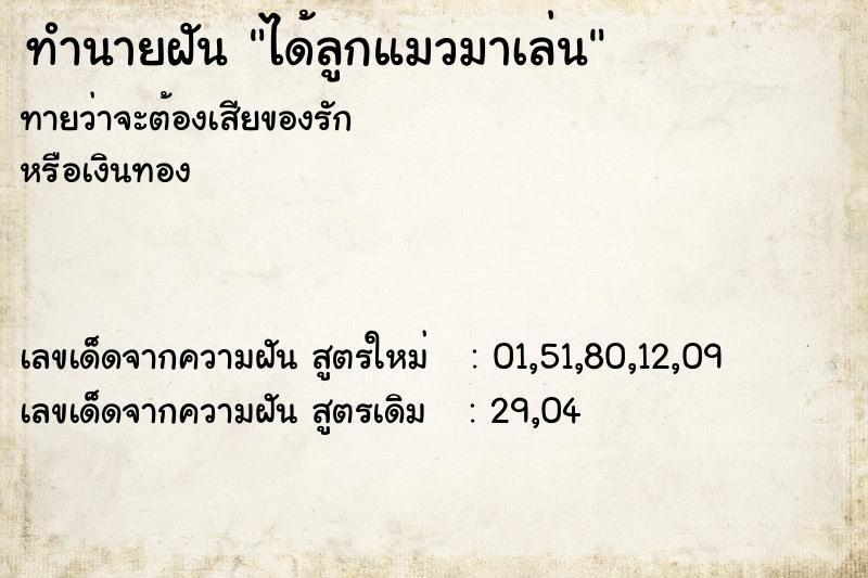 ทำนายฝันทำนายฝันได้ลูกแมวมาเล่น