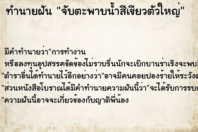 ทำนายฝัน จับตะพาบน้ำสีเขียวตัวใหญ่ ทำนายฝัน จับตะพาบน้ำสีเขียวตัวใหญ่