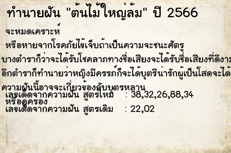 ทำนายฝัน ต้นไม้ใหญ่ล้ม ทำนายฝัน ต้นไม้ใหญ่ล้ม