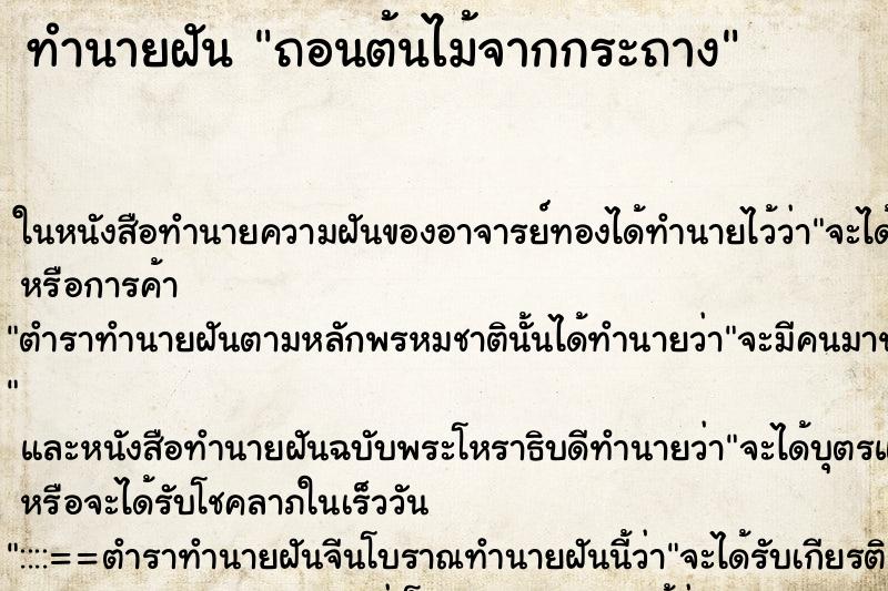 ทำนายฝันถอนต้นไม้จากกระถาง ทำนายฝันทำนายฝันถอนต้นไม้จากกระถาง