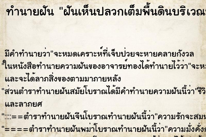ทำนายฝันทำนายฝันฝันเห็นปลวกเต็มพื้นดินบริเวณบ้าน