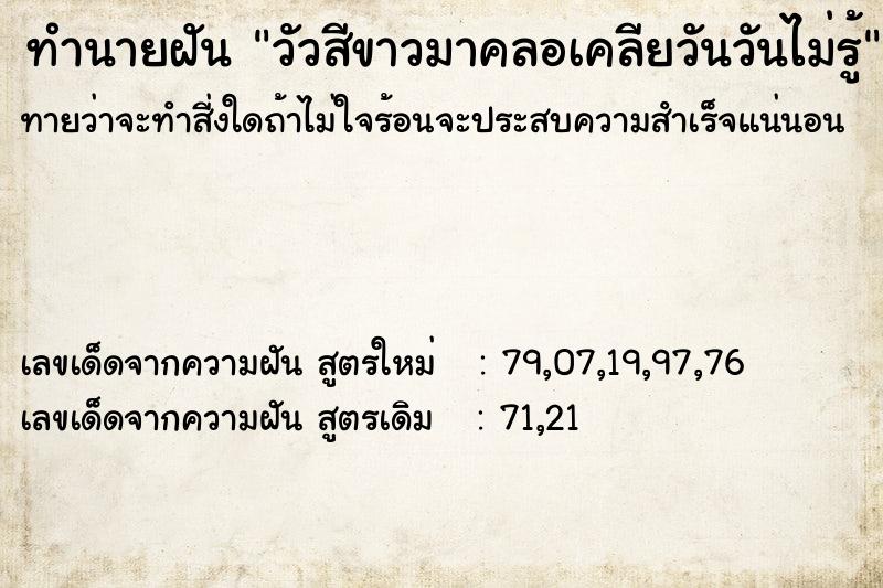 ทำนายฝันวัวสีขาวมาคลอเคลียวันวันไม่รู้ ทำนายฝันทำนายฝันวัวสีขาวมาคลอเคลียวันวันไม่รู้