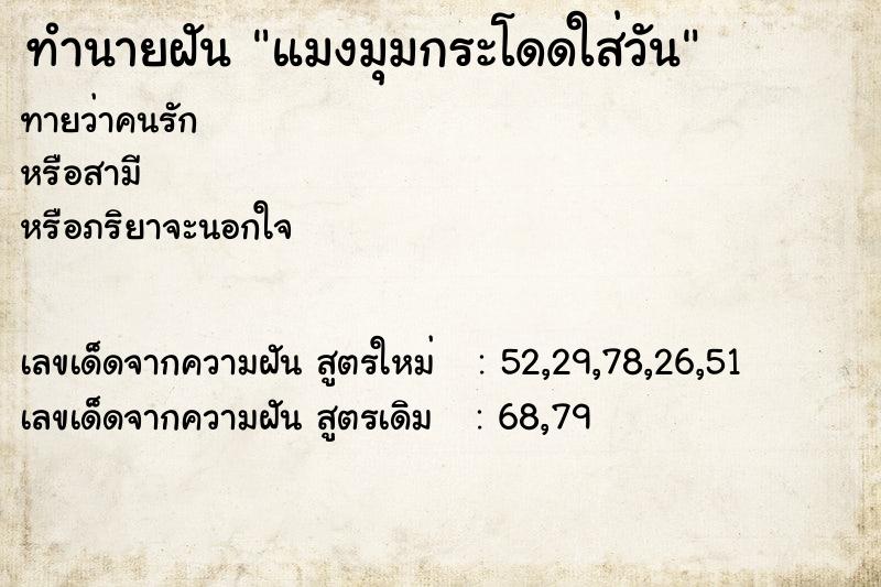 ทำนายฝันทำนายฝันแมงมุมกระโดดใส่วัน