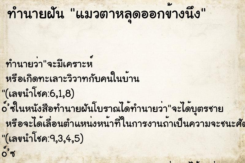 ทำนายฝันทำนายฝันแมวตาหลุดออกข้างนึง