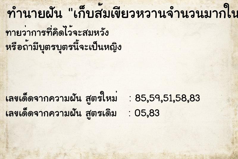 ทำนายฝัน เก็บส้มเขียวหวานจำนวนมากในสวน