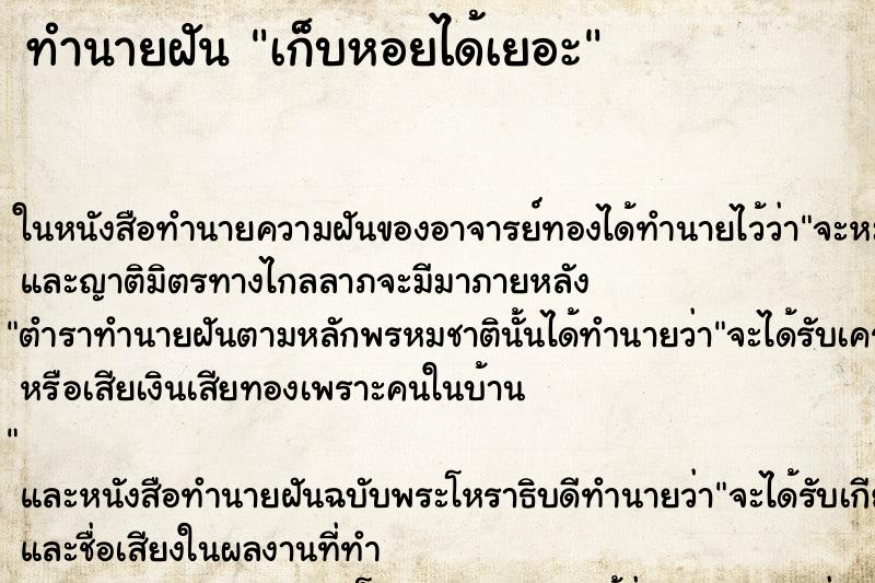 ทำนายฝัน เก็บหอยได้เยอะแม่นๆ ฟรี ด้วยตำราหนังสือทำนายฝันโบราณ ทำนายฝันเก็บหอยได้เยอะ