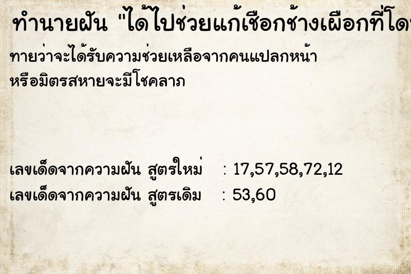 ทำนายฝันได้ไปช่วยแก้เชือกช้างเผือกที่โดนเชือกผูกไว้ ทำนายฝันทำนายฝันได้ไปช่วยแก้เชือกช้างเผือกที่โดนเชือกผูกไว้