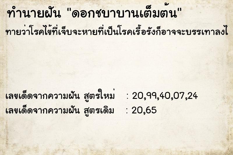 ทำนายฝันดอกชบาบานเต็มต้น ทำนายฝันทำนายฝันดอกชบาบานเต็มต้น