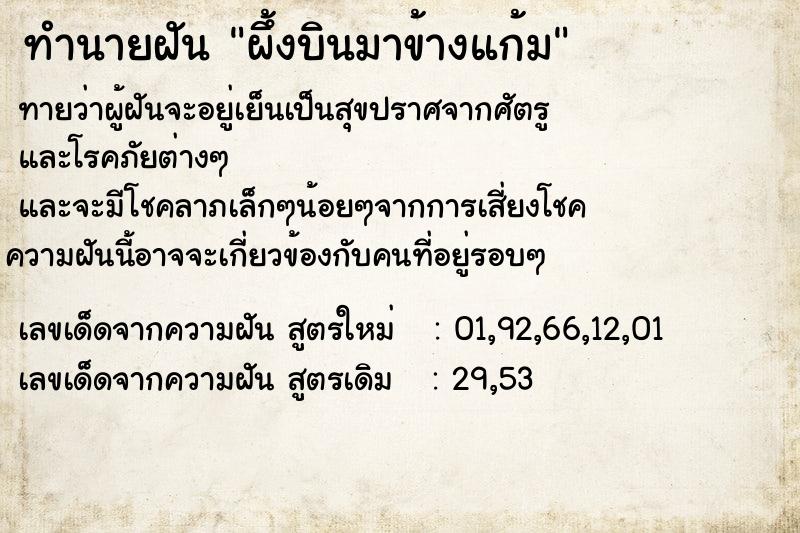 ทำนายฝันผึ้งบินมาข้างแก้ม ทำนายฝันทำนายฝันผึ้งบินมาข้างแก้ม