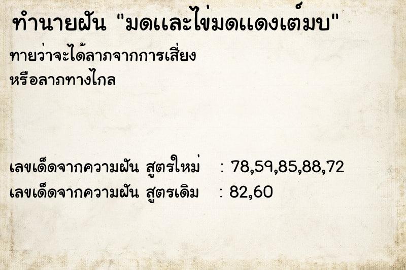 ทำนายฝันทำนายฝันมดเเละไข่มดเเดงเต์มบ