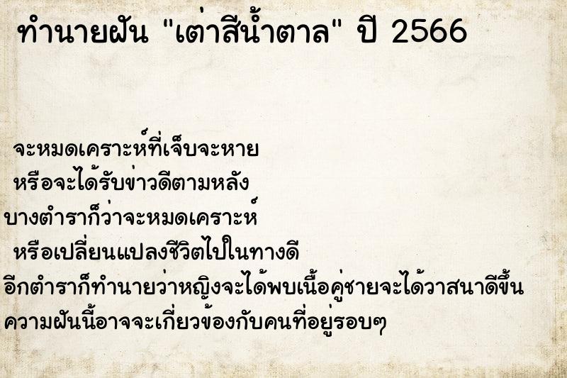 ทำนายฝันเต่าสีน้ำตาล ทำนายฝันทำนายฝันเต่าสีน้ำตาล