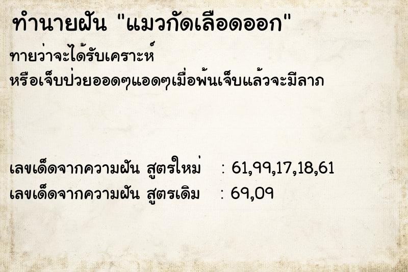 ทำนายฝัน แมวกัดเลือดออก ตำราโบราณ แม่นที่สุดในโลก