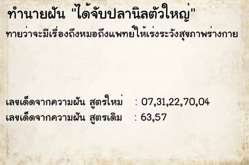 ทำนายฝันได้จับปลานิลตัวใหญ่ ทำนายฝันทำนายฝันได้จับปลานิลตัวใหญ่