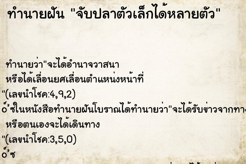 ทำนายฝัน จับปลาตัวเล็กได้หลายตัว