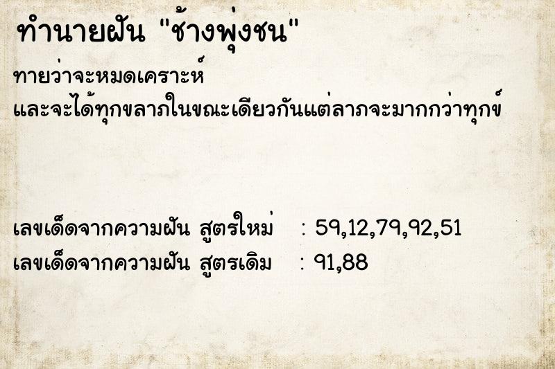 ทำนายฝันช้างพุ่งชน ทำนายฝันทำนายฝันช้างพุ่งชน