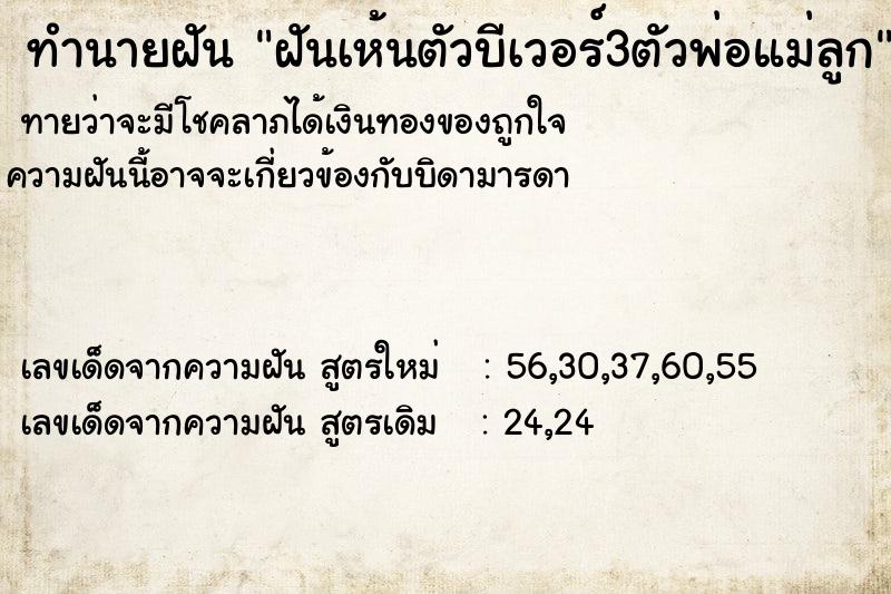 ทำนายฝันฝันเห้นตัวบีเวอร์3ตัวพ่อแม่ลูก ทำนายฝันทำนายฝันฝันเห้นตัวบีเวอร์3ตัวพ่อแม่ลูก