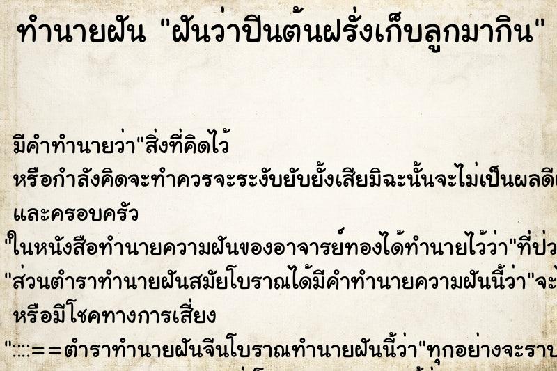 ทำนายฝัน ฝันว่าปีนต้นฝรั่งเก็บลูกมากิน ทำนายฝัน ฝันว่าปีนต้นฝรั่งเก็บลูกมากิน