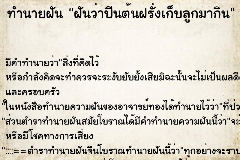 ทำนายฝัน ฝันว่าปีนต้นฝรั่งเก็บลูกมากิน ตำราโบราณ แม่นที่สุดในโลก