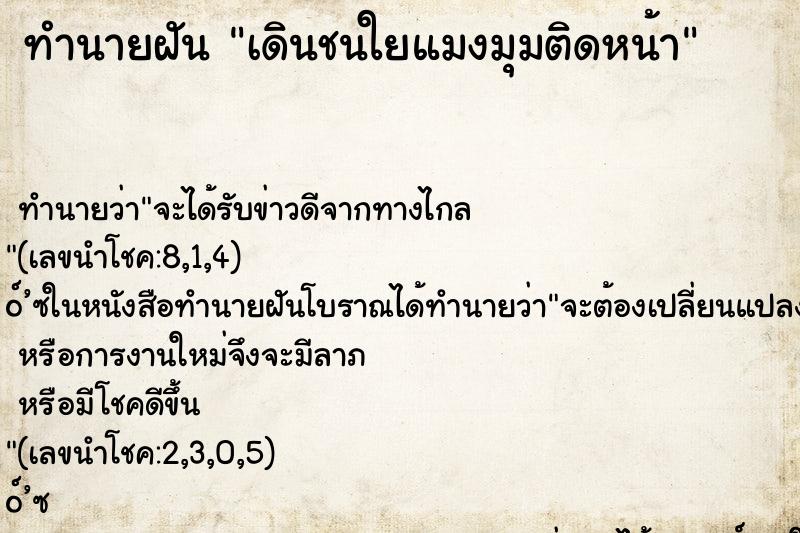 ทำนายฝันเดินชนใยแมงมุมติดหน้า ทำนายฝันทำนายฝันเดินชนใยแมงมุมติดหน้า