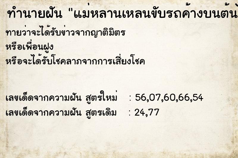 ทำนายฝันทำนายฝันแม่หลานเหลนขับรถค้างบนต้นไม้