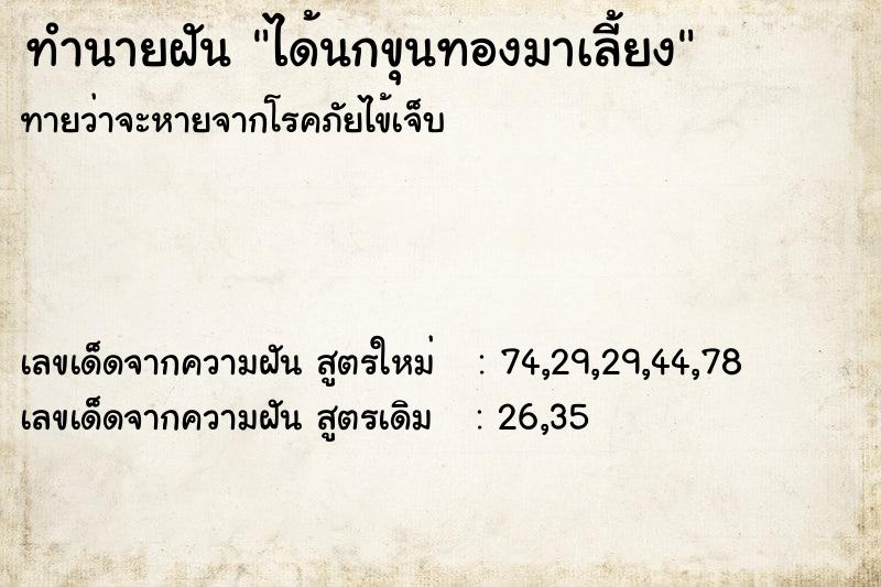 ทำนายฝันทำนายฝันได้นกขุนทองมาเลี้ยง