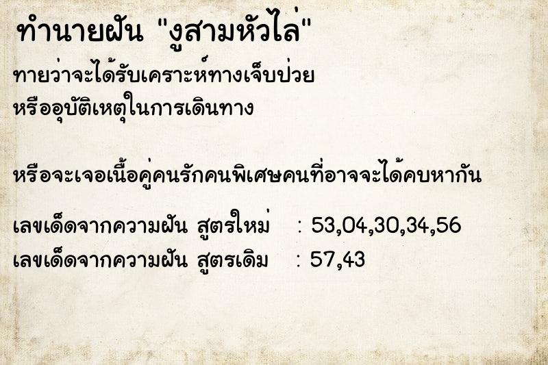 ทำนายฝันงูสามหัวไล่ ทำนายฝันทำนายฝันงูสามหัวไล่