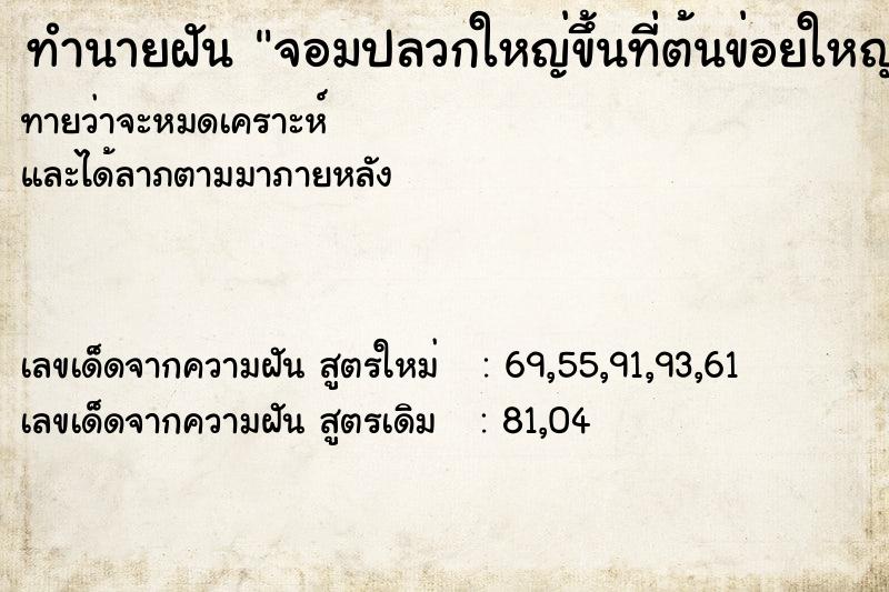 ทำนายฝันทำนายฝันจอมปลวกใหญ่ขึ้นที่ต้นข่อยใหญ่