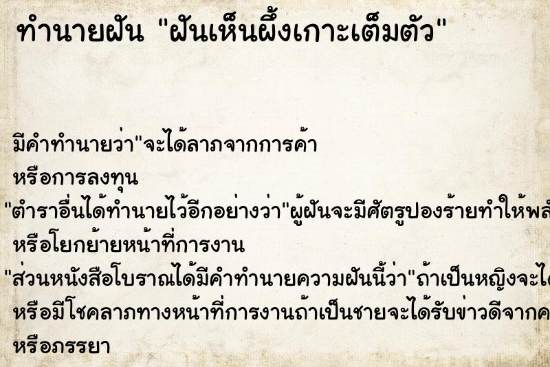 ทำนายฝันฝันเห็นผึ้งเกาะเต็มตัว ทำนายฝันทำนายฝันฝันเห็นผึ้งเกาะเต็มตัว
