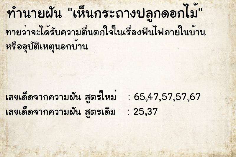 ทำนายฝันเห็นกระถางปลูกดอกไม้ ทำนายฝันทำนายฝันเห็นกระถางปลูกดอกไม้