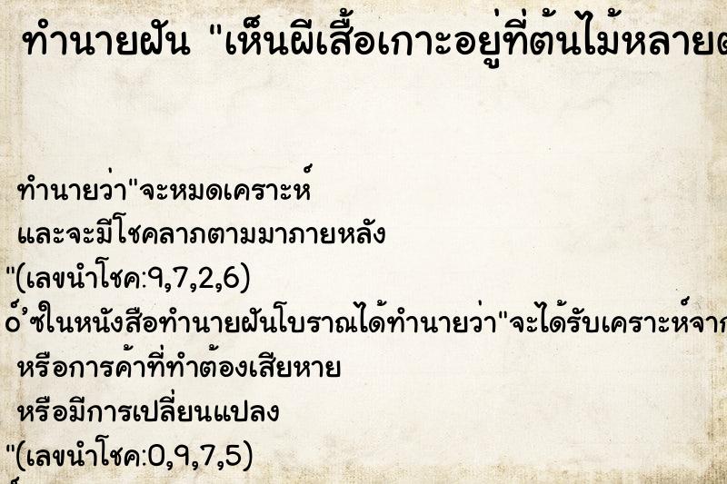 ทำนายฝัน เห็นผีเสื้อเกาะอยู่ที่ต้นไม้หลายตัว