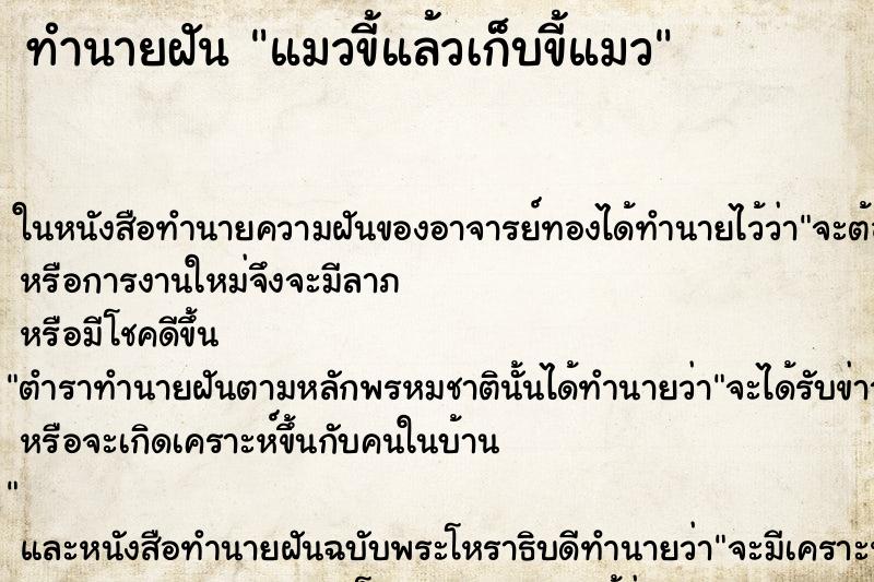 ทำนายฝันทำนายฝันแมวขี้แล้วเก็บขี้แมว