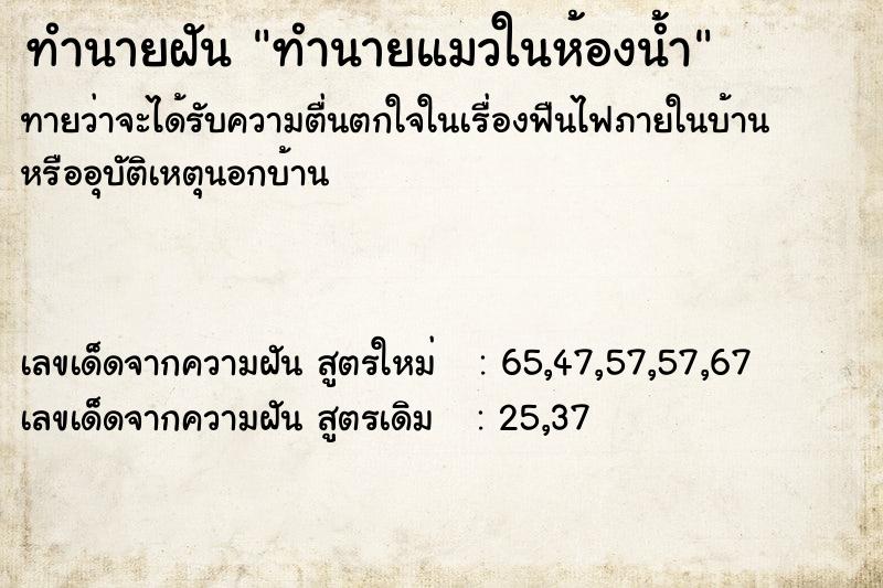 ทำนายฝันทำนายฝันทำนายแมวในห้องน้ำ