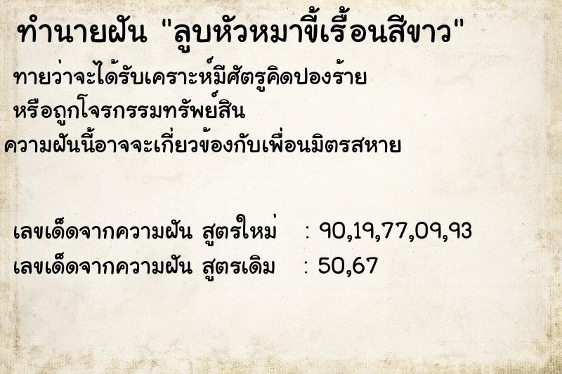 ทำนายฝันทำนายฝันลูบหัวหมาขี้เรื้อนสีขาว