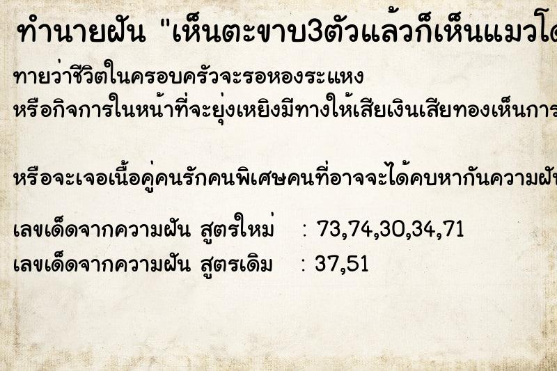 ทำนายฝันทำนายฝันเห็นตะขาบ3ตัวแล้วก็เห็นแมวโดนงูรัดลงท่อ