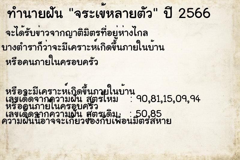 ทำนายฝัน จระเข้หลายตัว ทำนายฝัน จระเข้หลายตัว