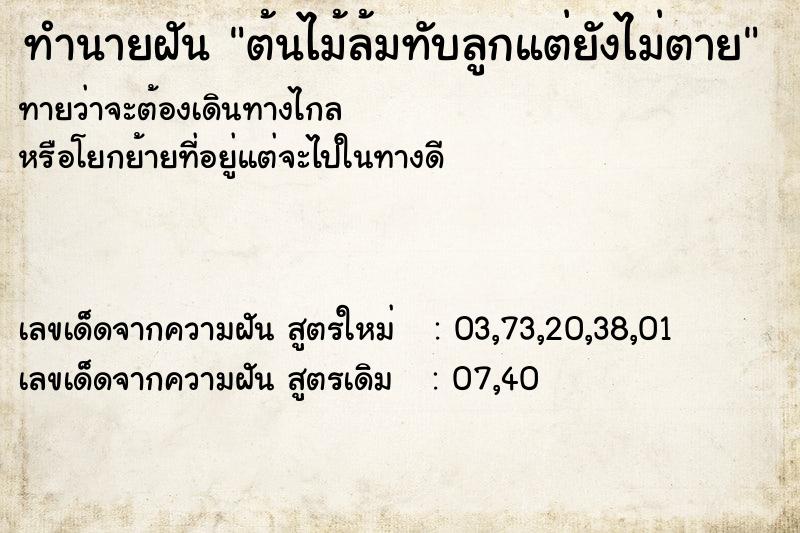 ทำนายฝัน ต้นไม้ล้มทับลูกแต่ยังไม่ตาย