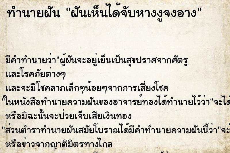 ทำนายฝัน ฝันเห็นได้จับหางงูจงอาง ทำนายฝัน ฝันเห็นได้จับหางงูจงอาง