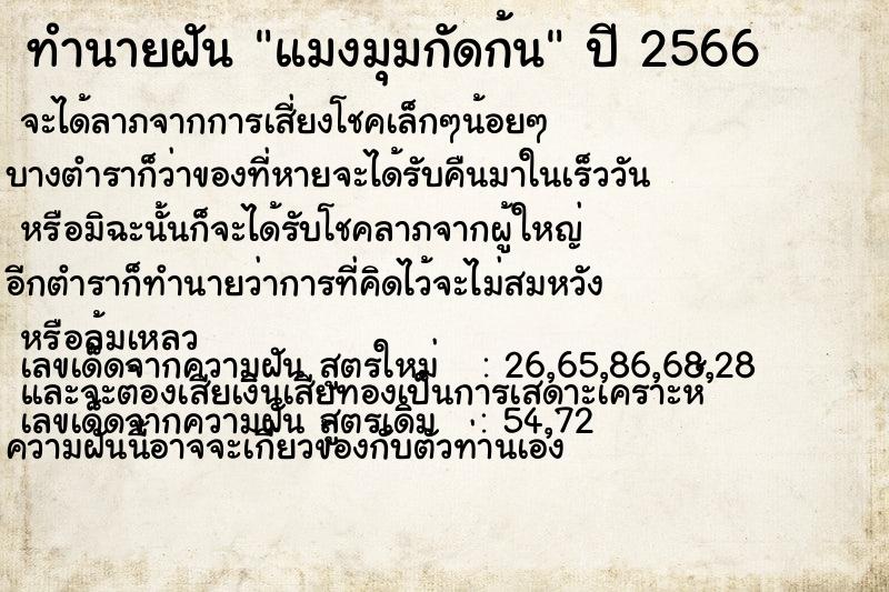 ทำนายฝันแมงมุมกัดก้น ทำนายฝันทำนายฝันแมงมุมกัดก้น