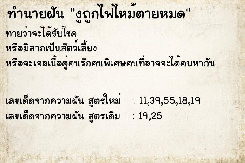 ทำนายฝันงูถูกไฟไหม้ตายหมด ทำนายฝันทำนายฝันงูถูกไฟไหม้ตายหมด