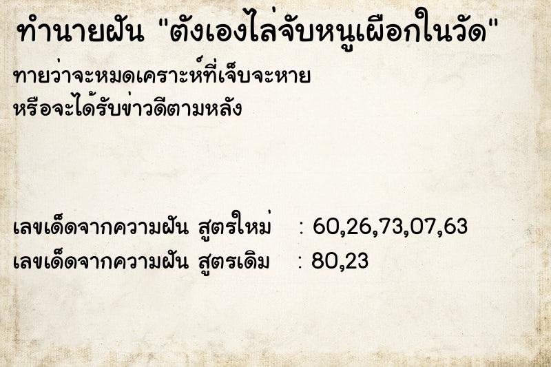 ทำนายฝันทำนายฝันตังเองไล่จับหนูเผือกในวัด